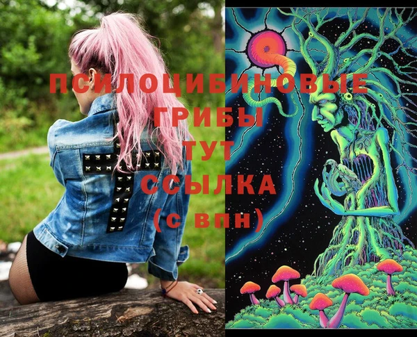 молекула духа Белоозёрский