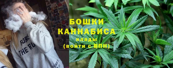 прущие крисы Осинники