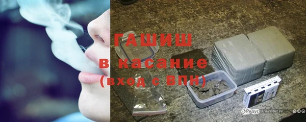прущие крисы Белокуриха