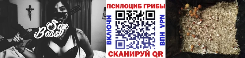 omg сайт  Стрежевой  Псилоцибиновые грибы мицелий 
